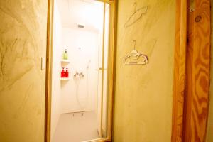 a bathroom with a shower and a mirror at kODATEL コダテル 札幌大通公園 101 in Sapporo +12 photos