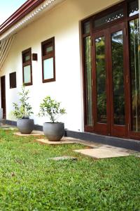Zahrada ubytování Triple Edge Villa