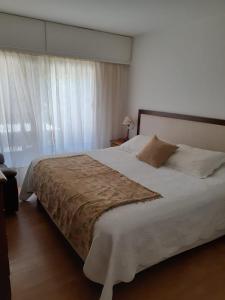 Galeriebild der Unterkunft ADANA in San Carlos + 41 Fotos