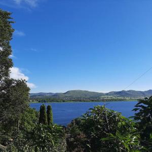 Manz' amahle Guest Cottage في هارتبيسبورت: تجمع كبير للمياه مع الأشجار في المقدمة