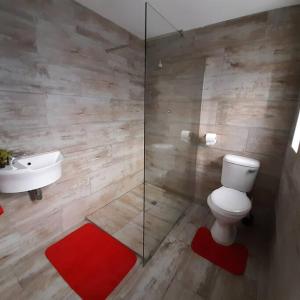 Manz' amahle Guest Cottage في هارتبيسبورت: حمام مع مرحاض ومغسلة ودش