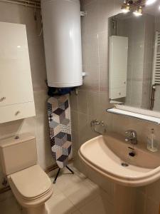 une salle de bain avec toilettes, lavabo et miroir dans l'établissement Apartamento turístico Nievesol 24 - Benasque, à Benasque 24 autres photos