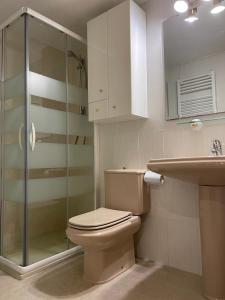 une salle de bain avec toilettes, lavabo et douche dans l'établissement Apartamento turístico Nievesol 24 - Benasque, à Benasque