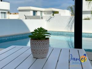 roślina doniczkowa siedząca na stole obok basenu w obiekcie Luxurious Villa Private Pool La Marina Urb LM3 w mieście San Fulgencio