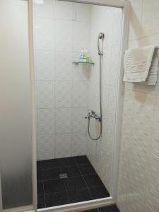 賓朗村的住宿－台東-卑南綠隧-民宿 --- Green Tunnel BnB，浴室里设有玻璃门淋浴