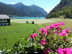 Paesaggio naturale nelle vicinanze dell'appartamento