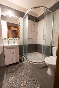 a bathroom with a shower and a sink and a toilet at Pokoje Gościnne Skalne Podhale in Bukowina Tatrzańska
