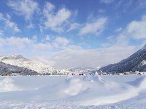 Paesaggio naturale nelle vicinanze dell'appartamento