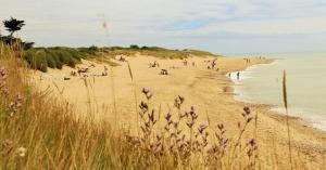 En strand ved eller i nærheten av villaen