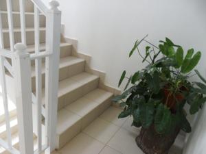 Fotografie z fotogalerie ubytování Casa Celeste v destinaci Ponta do Sol