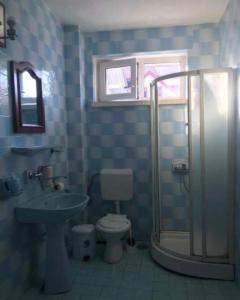 a bathroom with a shower and a toilet and a sink at Pensiunea Ursulet in Alexandru cel Bun