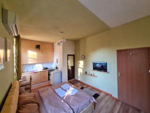 een woonkamer met een bed en een keuken bij Ex-Block District charming studio apartment with treeish sorrounding view! in Tirana