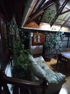Una sala de estar con un sofá y algunas plantas. en Hostal Gomero, en Santa Cruz
