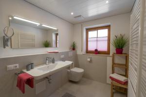 a bathroom with a sink and a toilet and a mirror at Ferienwohnungen Alpentraum - Hirschsprung in Bolsterlang +12 photos