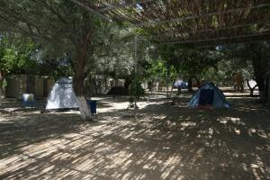 two tents in a park with trees and shadows at Camping Koula in Parikia