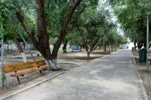 a wooden bench sitting next to a tree in a park at Camping Koula in Parikia