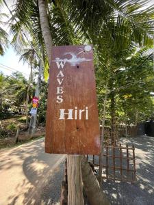 平谷Waves Hiri的相册照片