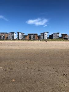 ein Hund geht am Strand mit Gebäuden im Hintergrund in der Unterkunft CockleDora, A Luxury Ground Floor Beachfront Apartment in Llanelli