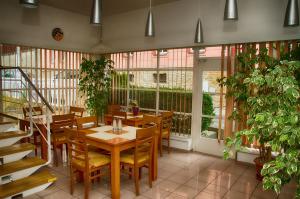 a restaurant with tables and chairs and plants at Penzion Andy in Děčín
