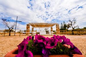 Zahrada ubytování Sea Salento Casa Vacanze