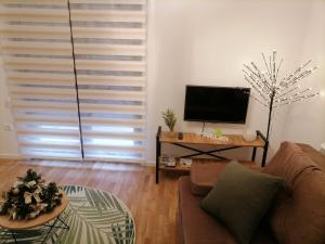 TV a/nebo společenská místnost v ubytování Apartman Pahuljica Tara