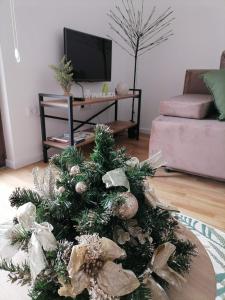 TV a/nebo společenská místnost v ubytování Apartman Pahuljica Tara