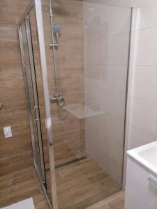 Koupelna v ubytování Apartman Pahuljica Tara