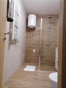 Koupelna v ubytování Apartman Pahuljica Tara