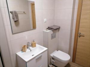 Koupelna v ubytování Apartman Pahuljica Tara