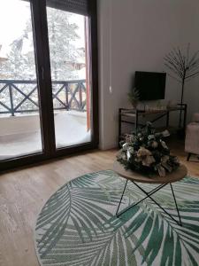 TV a/nebo společenská místnost v ubytování Apartman Pahuljica Tara
