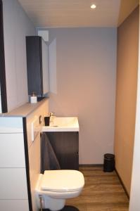 斯塔沃洛的住宿－Chez Henri，一间带卫生间和水槽的浴室