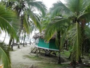 a house on the beach with palm trees at Buccaneer Resort in Bocas Town