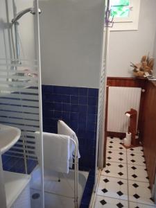 baño con ducha y suelo de baldosa azul y blanco. en APPARTEMENT INDEPENDANT DANS MAISON PARTICULIERE en Bayet