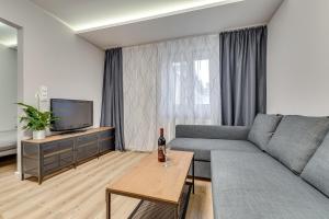 a living room with a gray couch and a tv at Central Platinum Apartments 16 in Rybnik