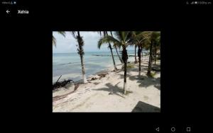 Gallery image of Buccaneer Resort in Bocas del Toro