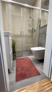 a bathroom with a shower and a red rug at Apartament na Klifie "LUNA" in Ustronie Morskie