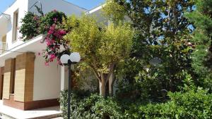 un albero di fronte a un edificio con fiori di La magnolia a Specchiolla