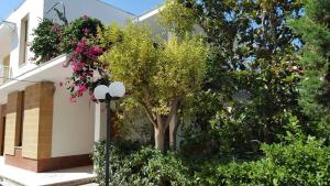 a tree in front of a building with flowers at B & B La Magnolia in Specchiolla