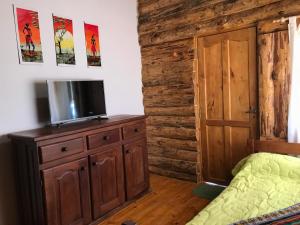 a bedroom with a bed and a television on a dresser at ALIWWE in Uspallata