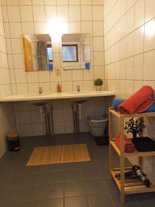 een badkamer met een wastafel en een spiegel bij Petites-Tailles - chambre d'hôtes in Vielsalm