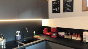 A kitchen or kitchenette at Cèsa Prinoth Még 37 kép