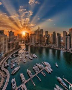 un groupe de bateaux amarrés dans un port avec une ville dans l'établissement Luxury Room with Marina view close to JBR Beach and Metro with Shared Kitchen, à Dubaï