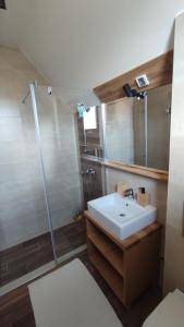 a bathroom with a shower and a white sink at Vila Secret Nest in Zlatibor