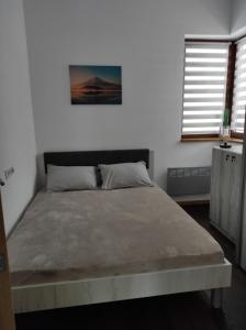 1 dormitorio con 1 cama grande en una habitación blanca en Vila Secret Nest, en Zlatibor