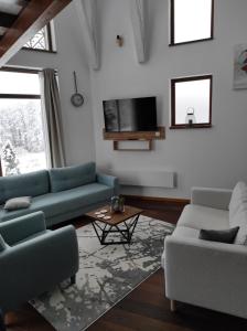 TV a/nebo společenská místnost v ubytování Vila Secret Nest