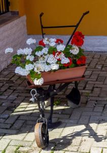 una carriola piena di fiori seduta su una strada di Radics Panzió Étterem és Pihenő Központ a Letenye
