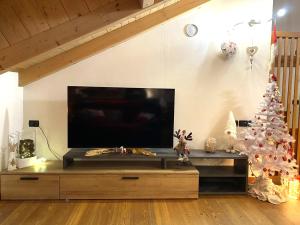 Televízia a/alebo spoločenská miestnosť v ubytovaní Mansarda Cermis
