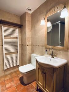 y baño con aseo, lavabo y espejo. en Apartamentos Turismo Rural Casa Alfós, en Labuerda