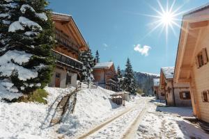 Obiekt Feriendorf Koralpe Alpenrose zimą