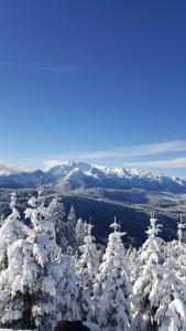 Φυσικό τοπίο κοντά σε αυτό το διαμέρισμα